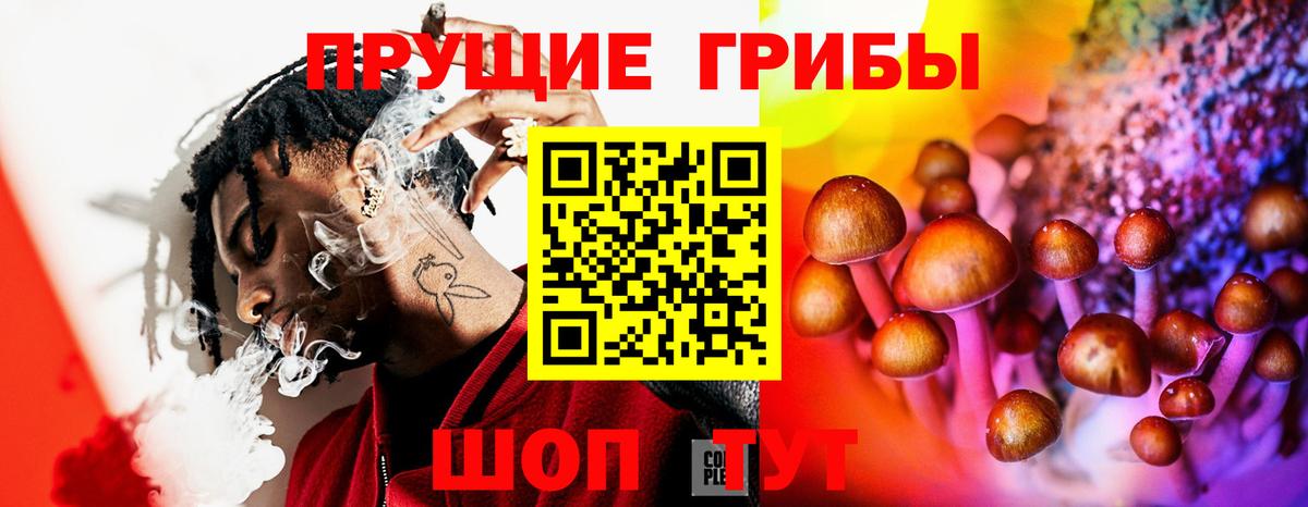 цены   Псилоцибиновые грибы Psilocybe  Вход с VPN  Славянск-на-Кубани 
