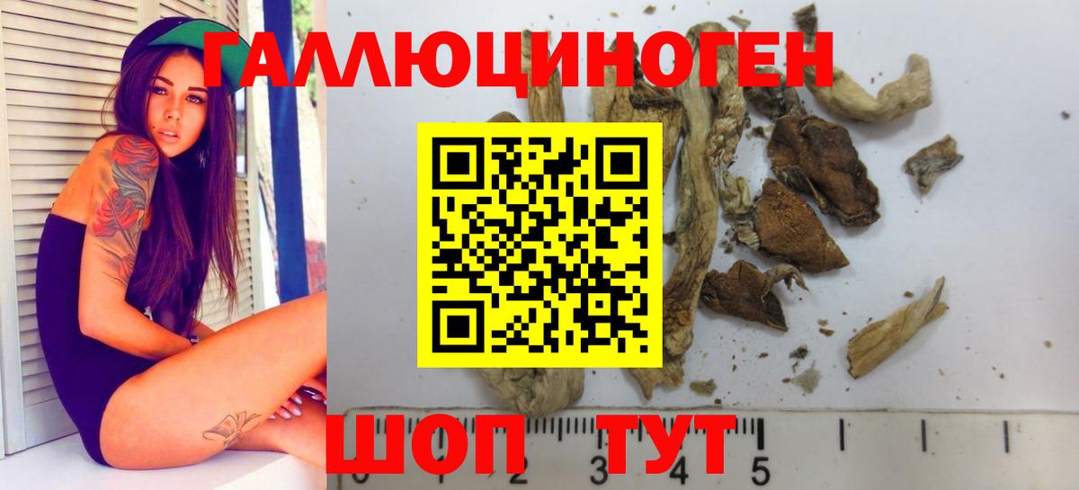 Галлюциногенные грибы GOLDEN TEACHER Славянск-на-Кубани
